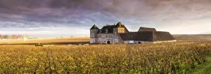 Images Dated 3rd November 2015: Vougeot castle and vineyards, Burgundy, France