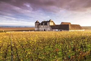 Images Dated 3rd November 2015: Vougeot castle and vineyards, Burgundy, France