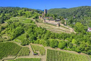 Images Dated 13th August 2020: Wachenheim castle ruin, Palatinate wine road, Rhineland-Palatinate, Germany