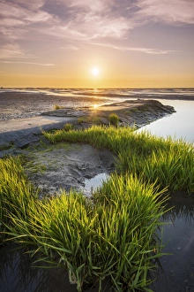 Wadden Sea with low tide, Duhnen, Cuxhaven, Lower Saxony, Germany