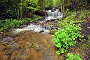 Runoff Prints: Wagner Falls, Wagner Falls Scenic Site, Alger County, Michigan, USA