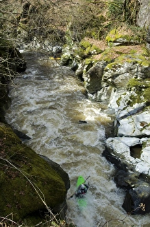 Images Dated 2008 March: 