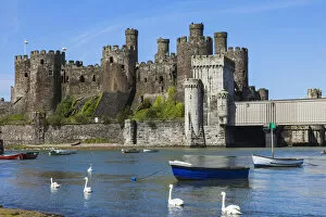 Wales, Gwynedd, Conwy, Conwy Castle
