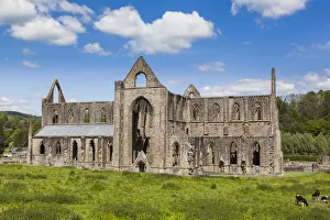 Wales, Monmouthshire, Tintern Abbey