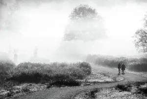 Walk Prints: Walkers in Richmond Park on a misty autumn morning, Richmond, London, England