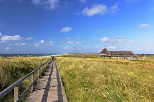 Kampen Prints: Walkway along Red Cliffs (Rotes Kliff), Kampen, Sylt, Schleswig Holstein, Germany