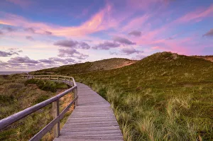 Kampen Prints: Walkway on Red Cliffs (Rotes Kliff) at sunset, Kampen, Sylt, Schleswig Holstein, Germany