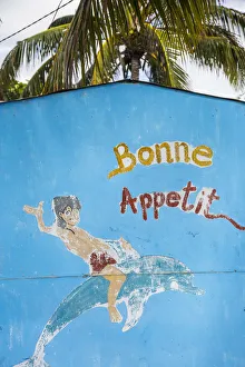 Dolphin Prints: Wall mural, Trou D eau Douce, Flacq, East Coast, Mauritius