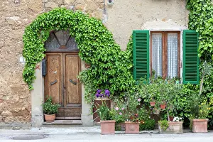 Potted Plants Prints: Wall of old house with heavy wooden door