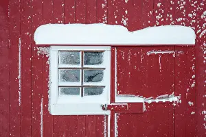 Timber Prints: Wall of red timber rorbu (cabin) covered in snow, Bergsbotn, Senja, Norway