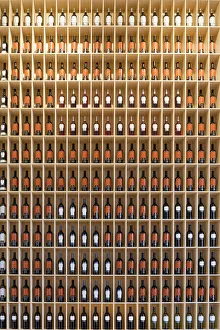 Images Dated 16th June 2017: A wall of wine bottles in the bar at Bodegas Marques de Riscal, built by Frank O. Gerhy
