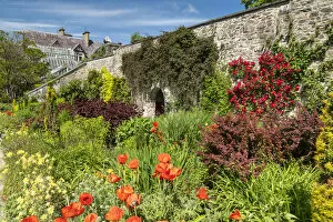Images Dated 11th August 2021: Walled Garden, Bodnant Gardens, near Tal-y-Cafn, Conwy, Wales