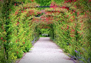 Country House Prints: The walled garden at Penrhyn Castle (Castell Penrhyn)