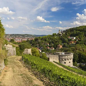 Wurzburg Prints: Walls of Marienberg Fortress and vineyards, Wurzburg, Bavaria, Germany