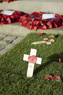 Images Dated 26th November 2008: War Memorial, Woking, Surrey, England
