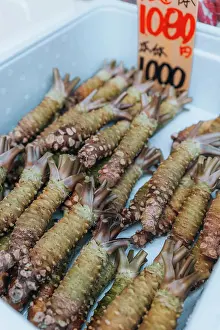 Retail Prints: Wasabi roots for sale at market, Tsukiji Outer Market, Tokyo, Japan