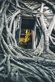 Buddha Gallery: Wat Bang Kung, Samut Songkhram, Bangkok, Thailand