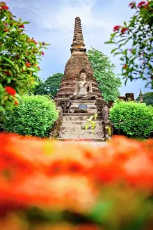 Sukhothai Prints: Wat Mahathat buddhist temple framed by flowering plants