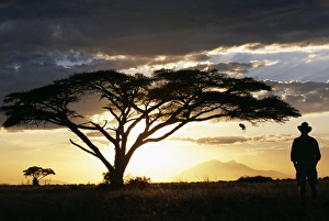 Acacia Tree Gallery: Watching the sun go down behind Longido Mountain on