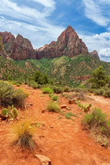 Hiking Trail Prints: The Watchman mountain seen from Watchman Trail