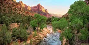 Western Prints: Watchman Mountain and Virgin River View at sunset, Zion National Park, Utah, USA