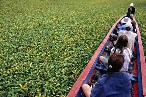 Adventurous Gallery: Water hyacinth makes for slow progress cruising up