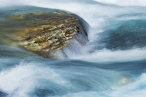 Westland Prints: Water impression - New Zealand, South Island, West Coast, Westland