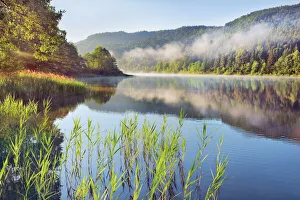 Carinthia Prints: Water landscape with fog at Rauschelesee - Austria, Carinthia, Klagenfurt