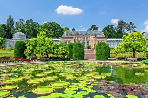 Images Dated 23rd May 2023: Water Lily pond with Moorish Villa, zoological and botanical gardens, Wilhelma, Stuttgart