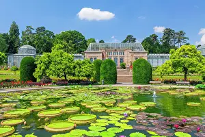 Stuttgart Prints: Water Lily pond with Moorish Villa