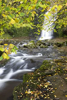 Blaen Y Glyn Prints: Waterfall and autumn foliage at Blaen-y-Glyn, Brecon Breacons National Park, Powys, Wales