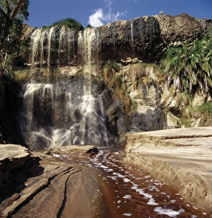 Water Fall Collection: A waterfall with brackish water flows from a swamp