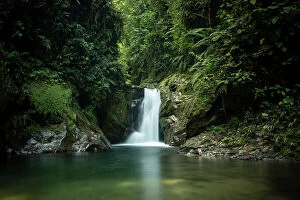 Images Dated 4th May 2023: Waterfall in the Cloudforest, Mashpi, Reserva Mashpi Amagusa, Pichincha, Ecuador