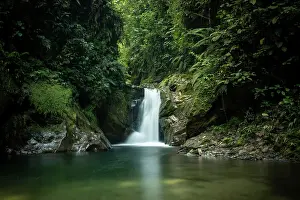 Concept Prints: Waterfall in the Cloudforest, Mashpi, Reserva Mashpi Amagusa, Pichincha, Ecuador