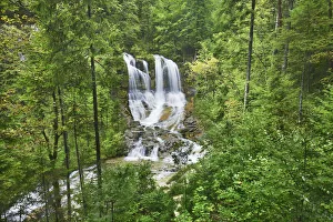 Waterfall in deciduous forest - Germany, Bavaria, Upper Bavaria, Traunstein, Inzell