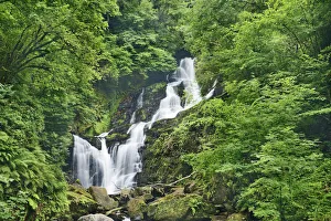 Killarney Prints: Waterfall in forest - Ireland, Kerry, Killarney, Torc Waterfall - Killarney National Park