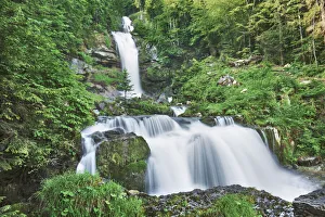Mixed Forest Prints: Waterfall Giessbachf√§lle - Switzerland