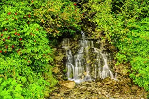 Runoff Prints: Waterfall, Haines, Alaska, USA