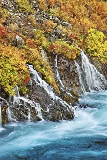 Hraunfossar Prints: Waterfall Hraunfossar - Iceland, Western Region, Hraunfossar