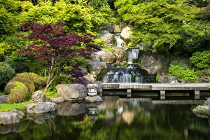 Hyde Park Prints: Waterfall in The Kyoto Garden, Holland Park, London, England