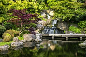Images Dated 19th August 2019: Waterfall in The Kyoto Garden, Holland Park, London, England