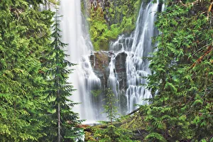 Cascade Range Prints: Waterfall Lower Proxy Falls - USA, Oregon, Lane, Lower Proxy Falls - Cascade Range