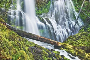 Cascade Range Prints: Waterfall Lower Proxy Falls - USA, Oregon, Lane, Lower Proxy Falls - Cascade Range