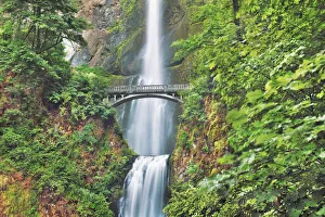 Temperate Rain Forest Prints: Waterfall Multnomah Falls - USA, Oregon, Multnomah, Multnomah Falls - Cascade Range