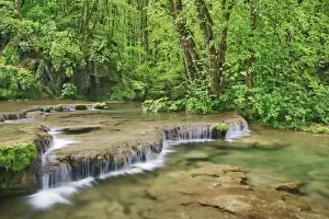 Jura Prints: Waterfall near Cascade des Tufs in beech forest - France, Bourgogne-Franche-Comte, Jura