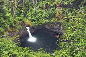 Temperate Rain Forest Prints: Waterfall Punchball Falls in Pacific rainforest - USA, Oregon, Hood River, Eagle Creek