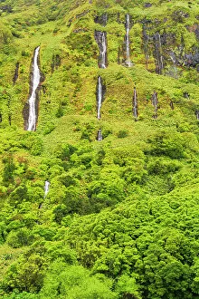 Grass Collection: Waterfall of Ribeira do Ferreiro, Poco Ribeira do Ferreiro (Alagoinha)