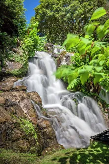 National Trust Prints: Waterfall in Sheffield Park Garden, East Sussex, England
