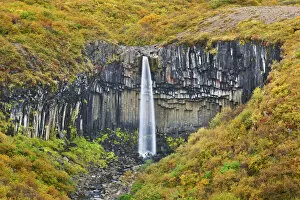 Basalt Collection: Waterfall Svartifoss with basalt rocks - Iceland, Eastern Region, Skaftafell