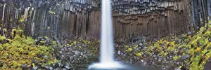 Basalt Prints: Waterfall Svartifoss - Iceland